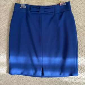 Banana Republic Elegant Blue Women's Skirt
